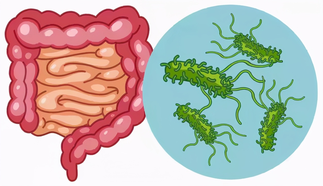 6岁孩子吃豆芽有毒吗,小孩吃豆芽死了