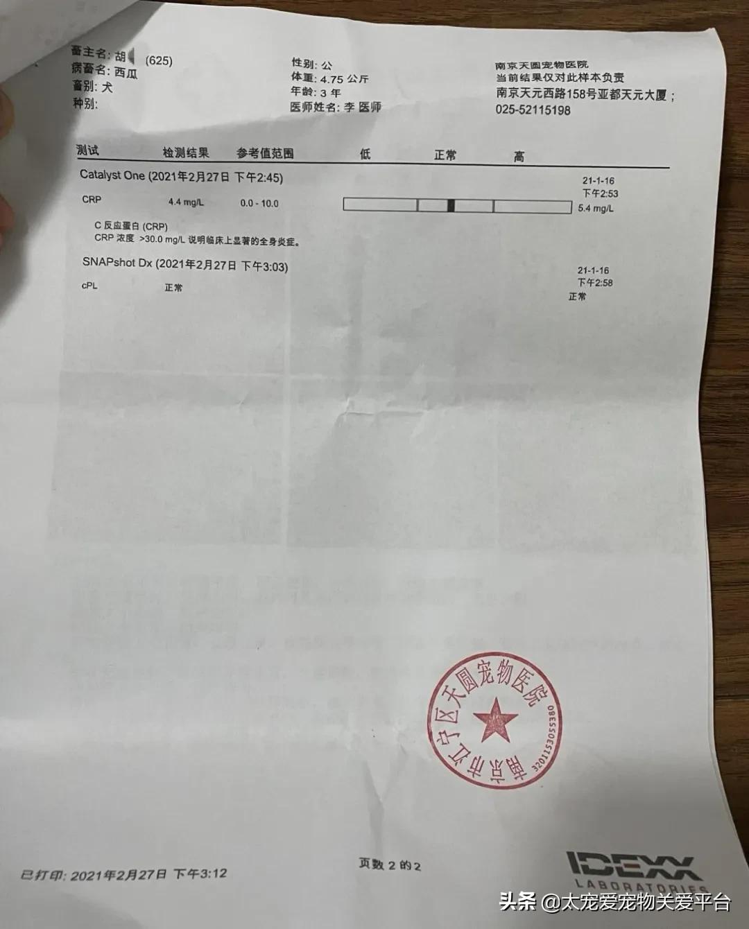 十二指肠溃疡丨太宠爱理赔案例南京天圆宠物医院