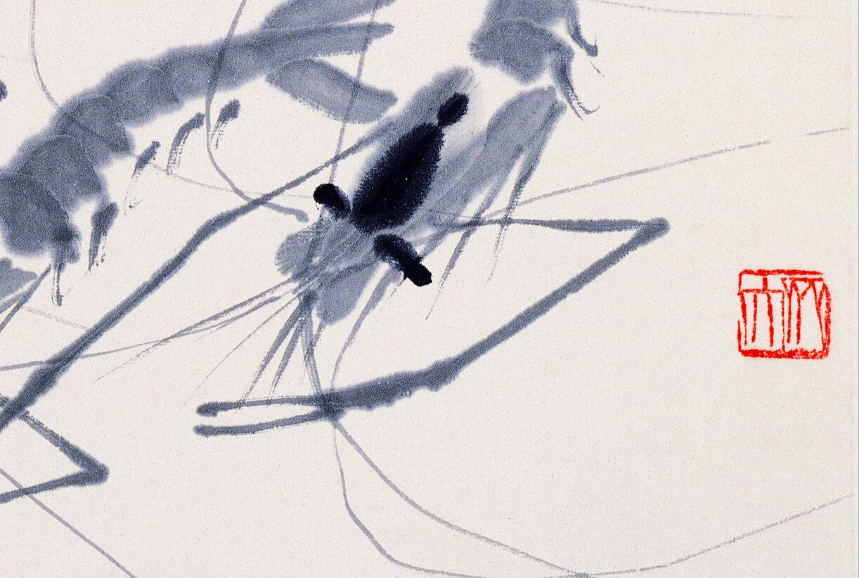 白石老人画虾视频大全,白石老人画虾的感悟