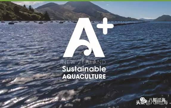 引入活青口贝、鲜帝王鲑,新西兰海产出口商的新生力量!