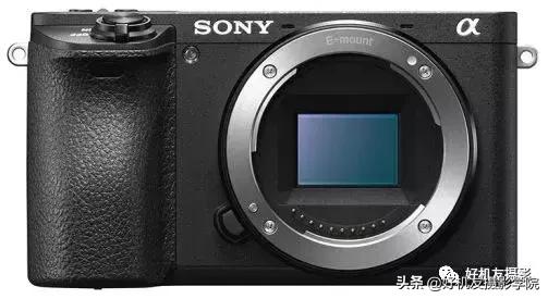 入门摄影选单反还是微单,一文读懂手机镜头知识