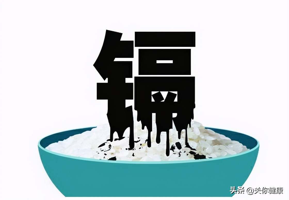 摄入镉会怎么样,吃含重金属的食物会怎样