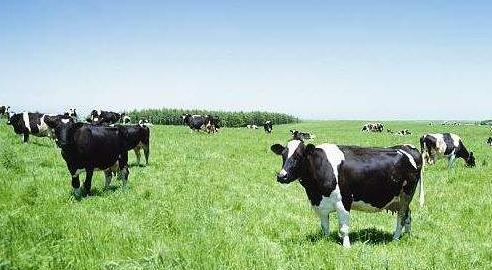 如何选择价钱合适的婴儿奶粉,3段奶粉怎么选择合适的