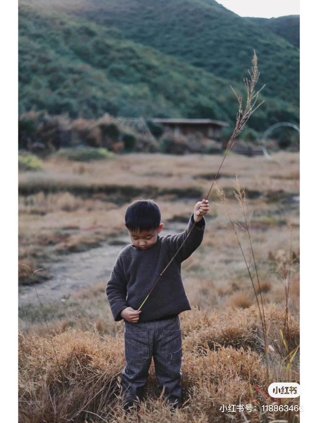 昆明避暑冷惨了外省人,昆明过冬真实感受