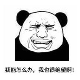 我是岭南，技工学校中的霸王“战斗机”