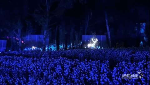 属虎,数虎图像深圳