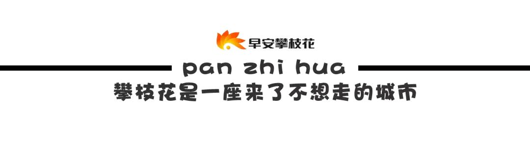 收藏！吐血整理《2019攀枝花大全》，看完秒变“地道”攀枝花人~