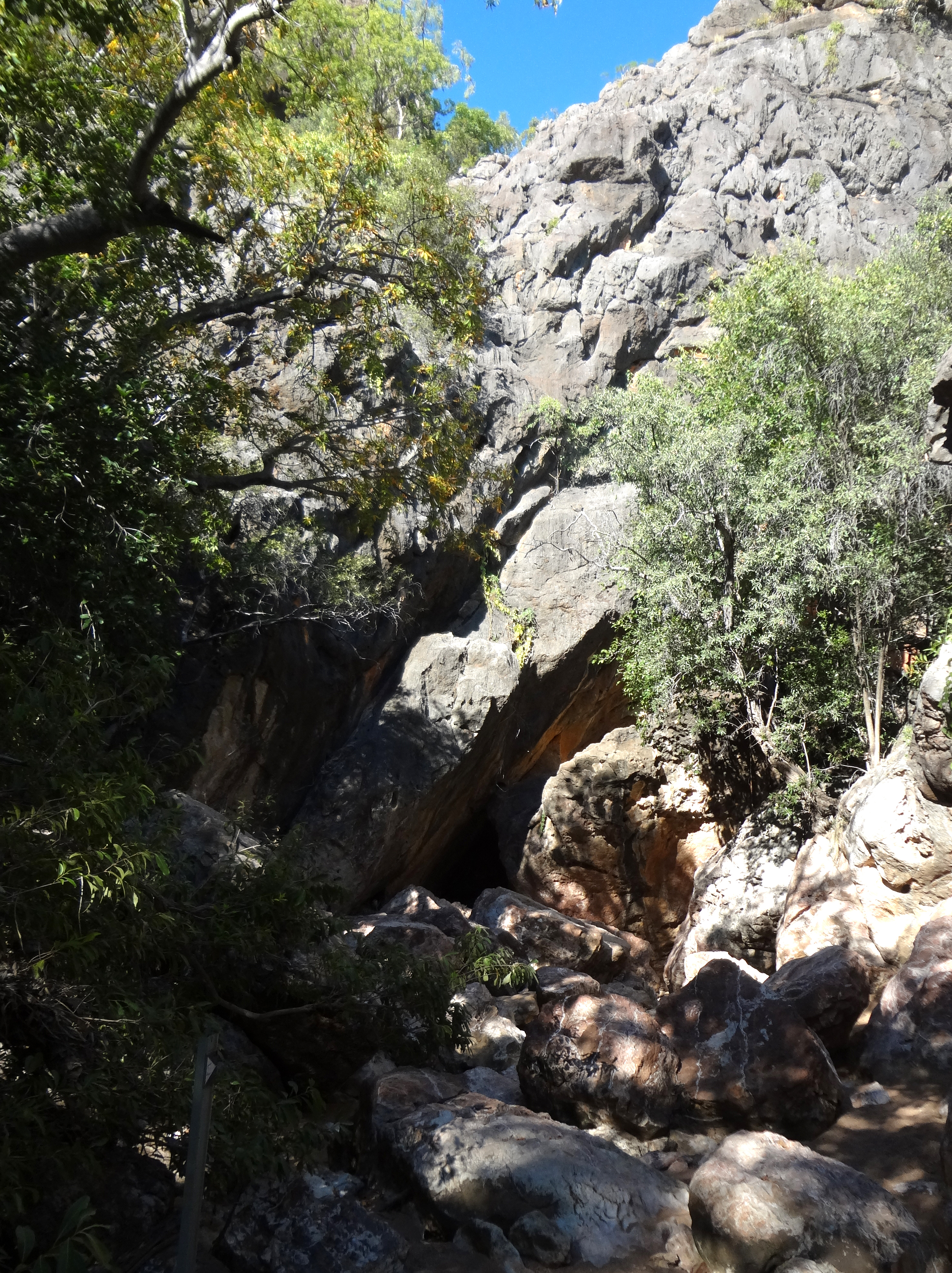 美国大兵在阿富汗留下多少混血儿,澳大利亚士兵屠杀阿富汗