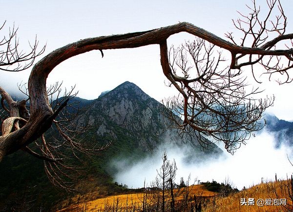 四川黑竹沟峡谷,中国最神秘的山谷