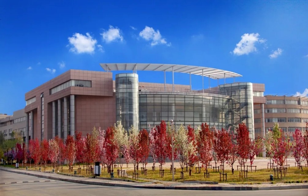 向往的大外|带你一起看大外