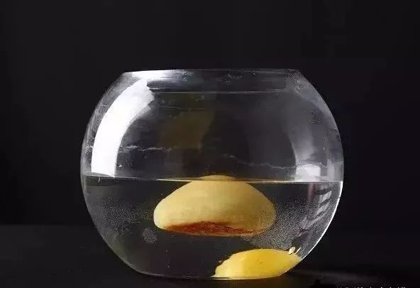 各种造假蜜蜡都会暴露出真身,蜜蜡造假的6大内幕学会避免被宰