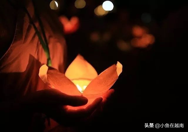 越南鬼月禁忌 (越南鬼月是哪个月)