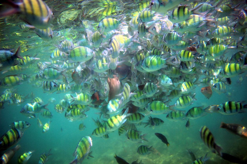 2019最靠谱普吉岛自由行最全攻略,2018普吉岛自由行攻略