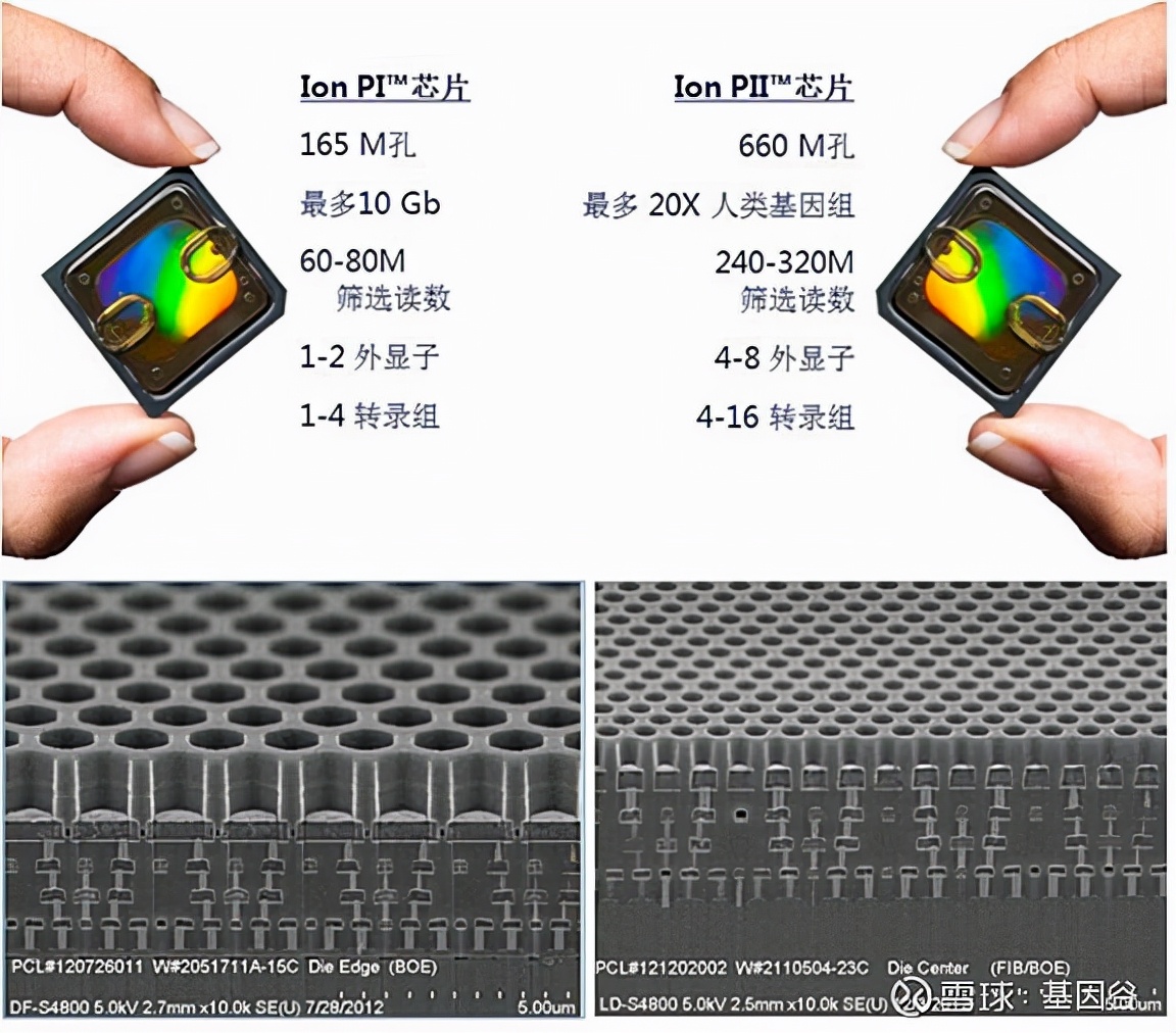 全场硬菜！分子诊断技术全解析