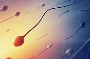 卵泡发育不好需要做造影吗,卵泡长不大有必要做输卵管造影吗