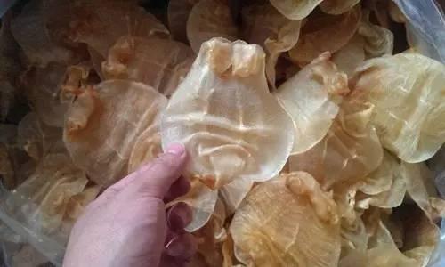 花胶最简单的泡发,花胶正确的泡发