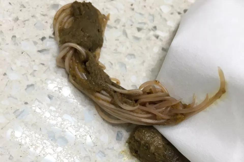 狗子偷偷亲我的第N次，难道不是真爱吗？