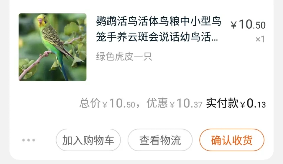 养两只虎皮鹦鹉要多少钱,养10只虎皮鹦鹉要用多少钱一个月
