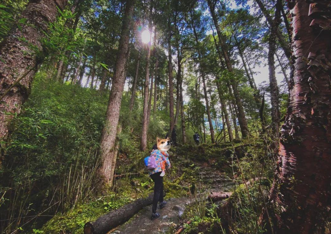 国庆成都周边旅游攻略推荐,成都周边旅游国庆2-3天推荐地方