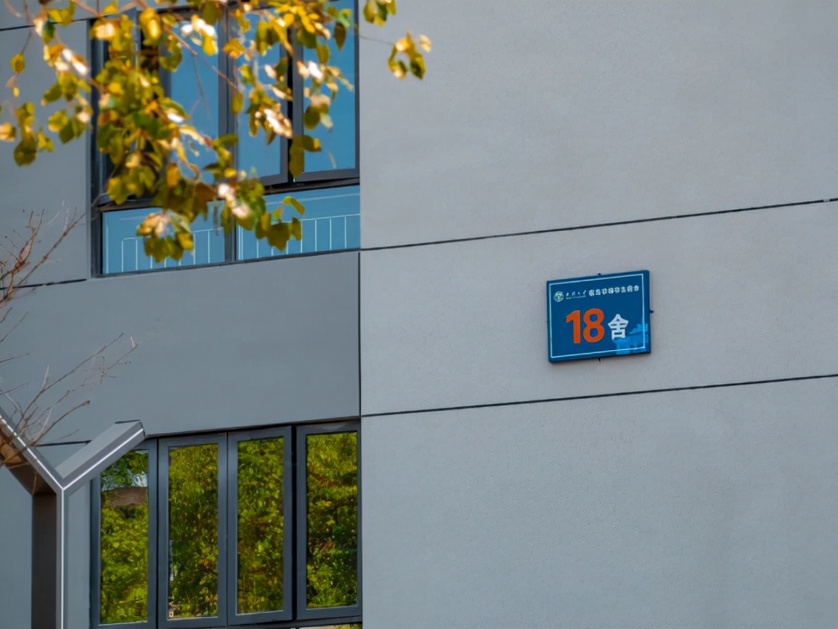 武大毕业宿舍,武大樱花宿舍楼