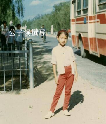 高圆圆为什么会嫁给赵又廷,高圆圆婚姻情感故事