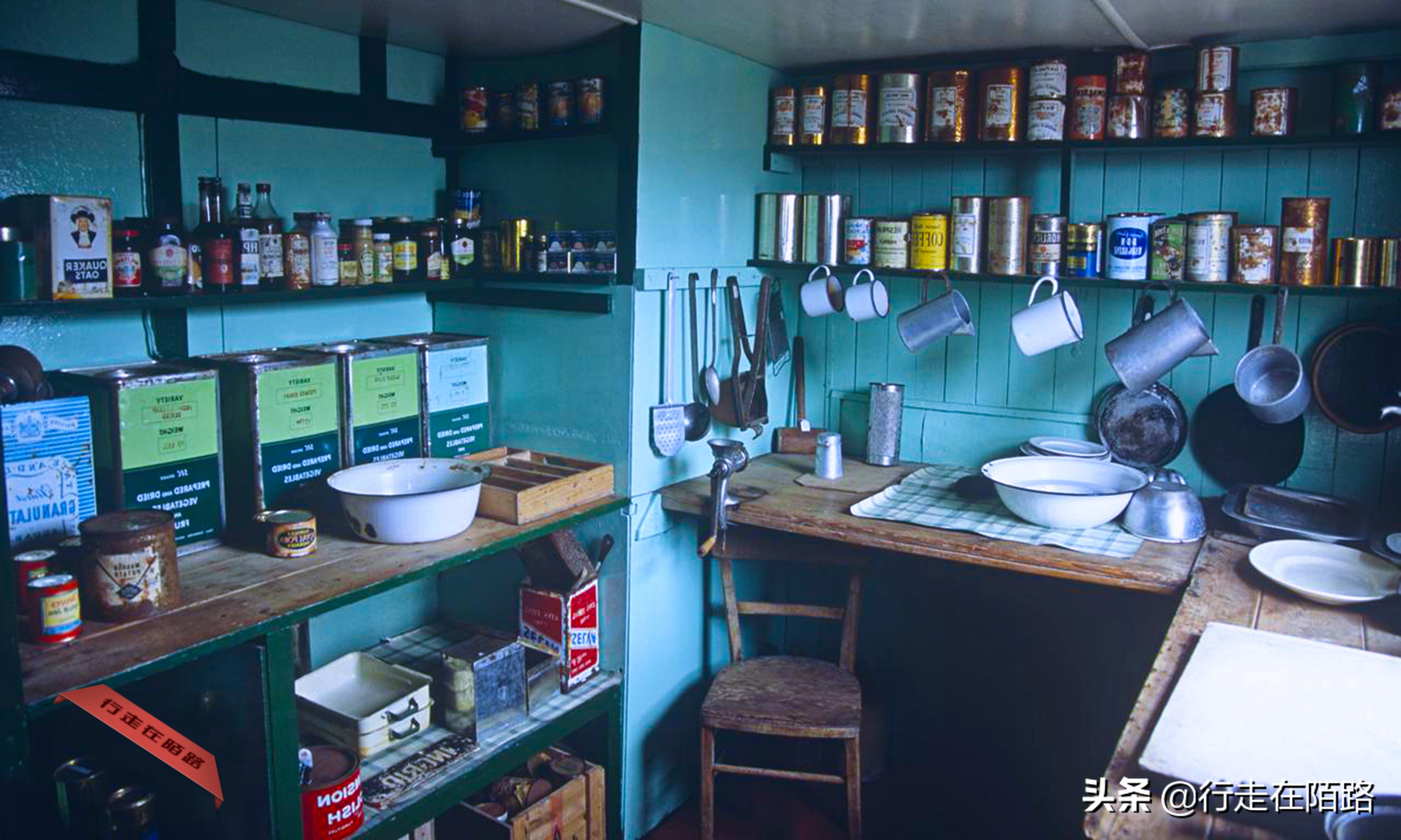 铲屎官的工资,铲屎官工资一天多少钱