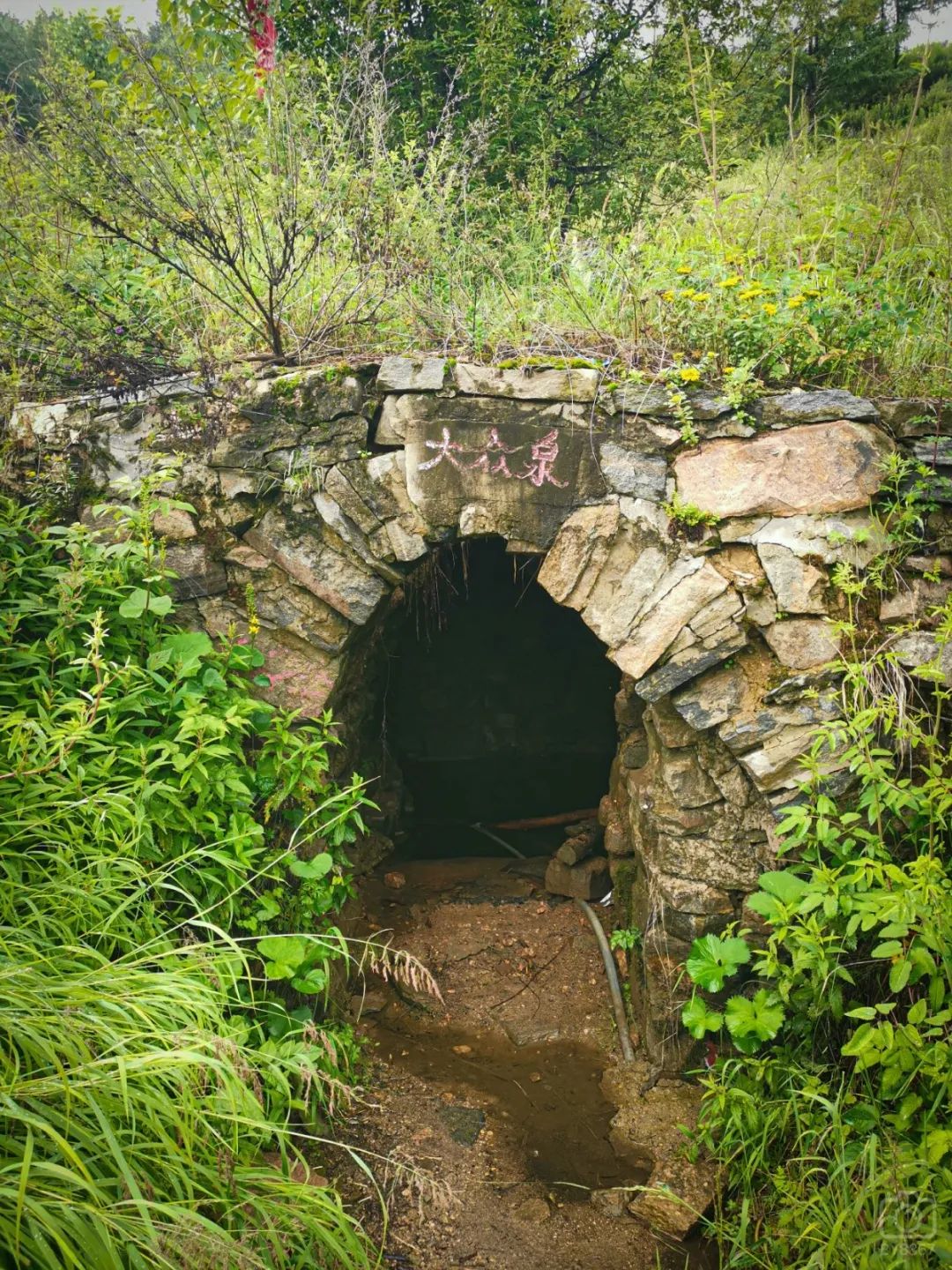 徒步穿越北驼梁完整版,穿越花海古道游记