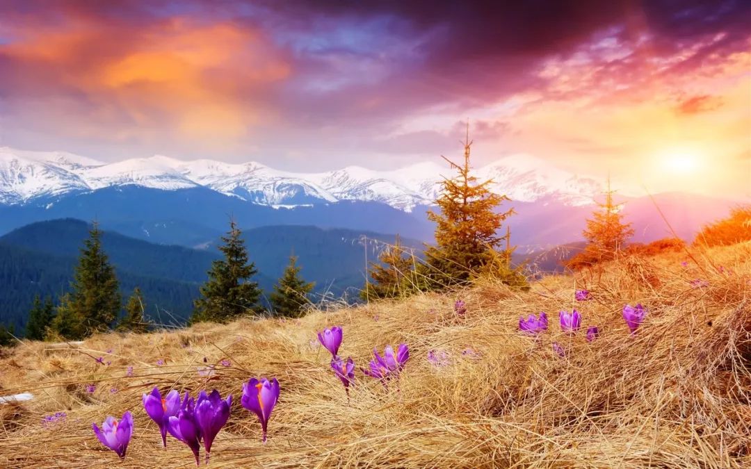 健康咒语每天三遍身体越来越好,疗愈身体的神奇音乐完整版