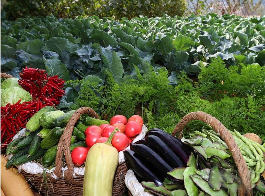 农村服务业创业新门路,农村创业什么才是挣钱的门路