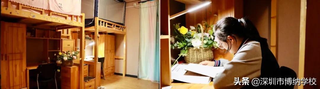 深圳南山这所宝藏国际学校，带你去打卡