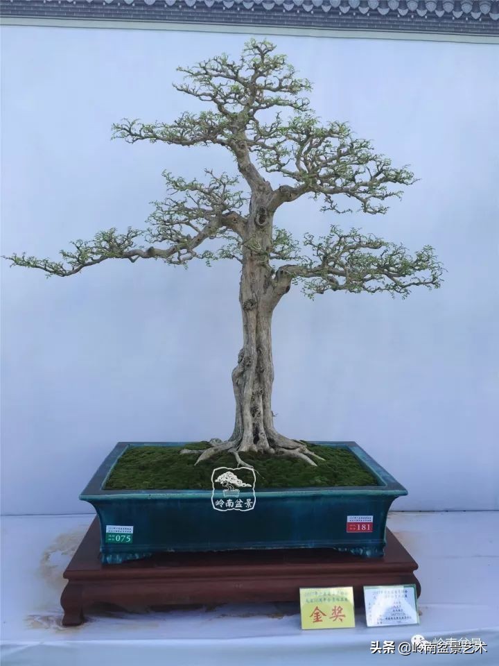 骞哥涔呬箙鐢滅敎铚滆湝,骞哥涔呬箙