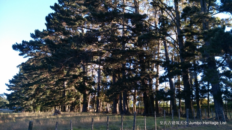 第37回的概括,第37回