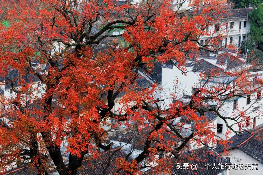 这才是12月最值得去的旅行地,11月12月去哪里旅游最美