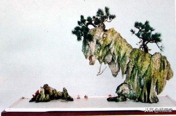 丛林式盆景欣赏,盆景欣赏及制作