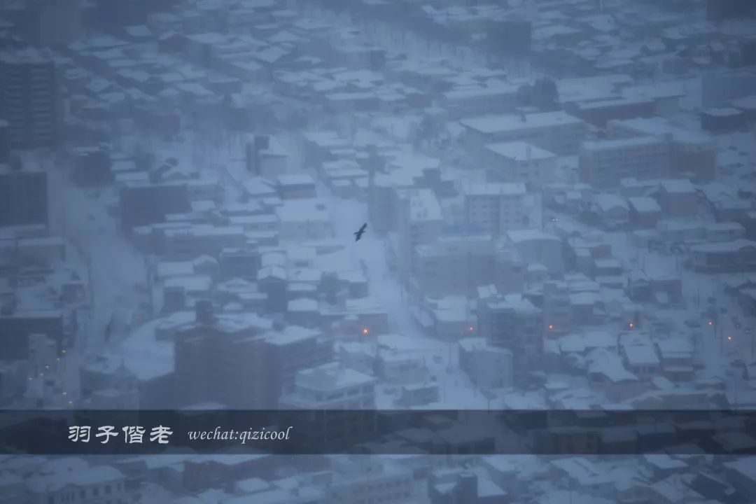 老实说，这一趟北海道就是为了拍好看的照片去的