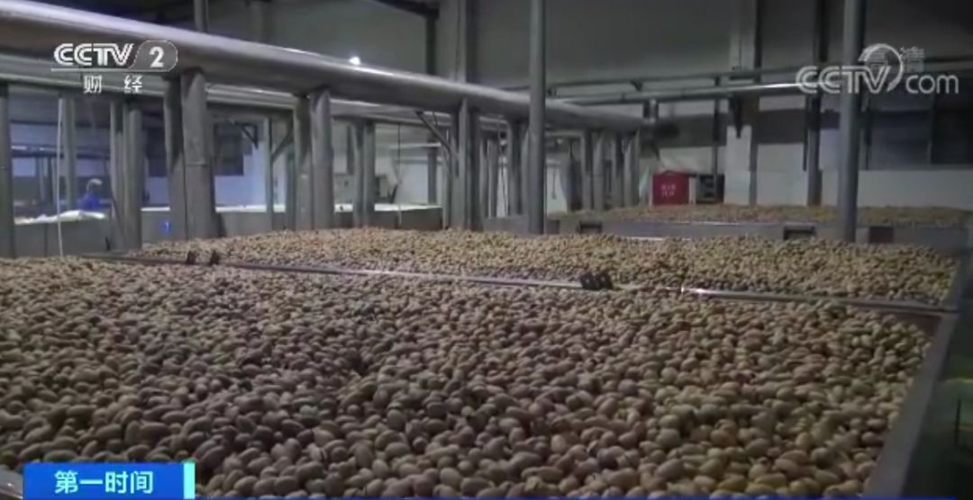 哪些牌子坚果致癌物超标,警惕身边的致癌物少碰这种食物