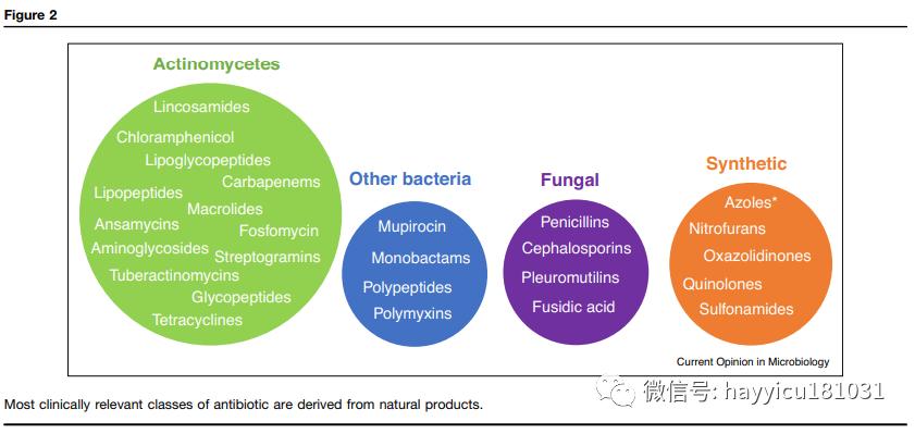 抗生素在中国大规模使用时间,抗生素未来会消失吗