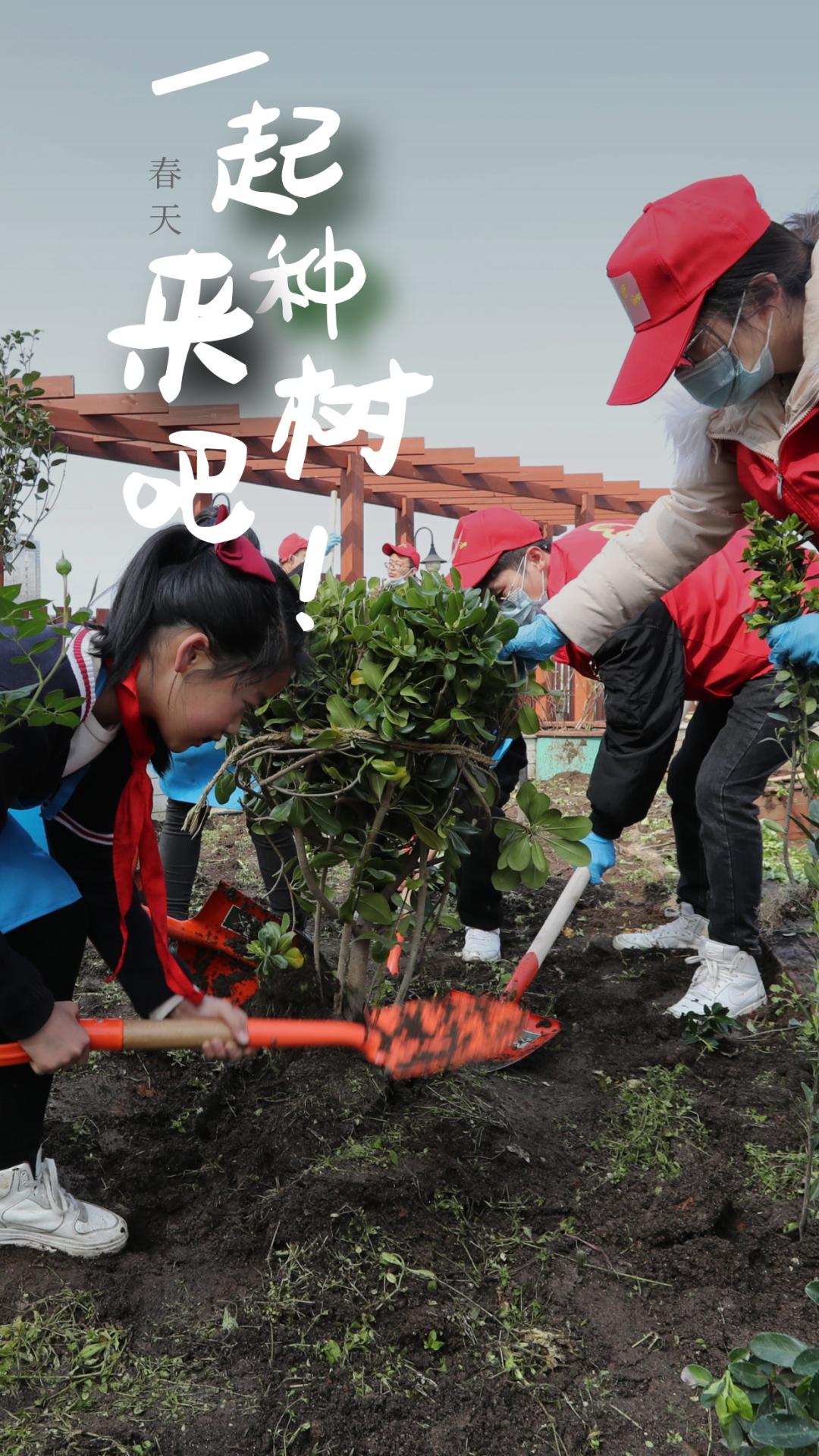武汉植树高峰期,植树浪潮