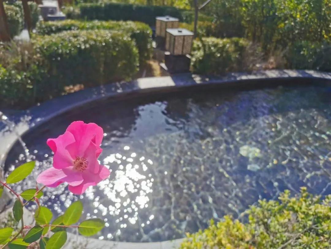 去遵化泡温泉哪里比较好,遵化一日游必去的地方