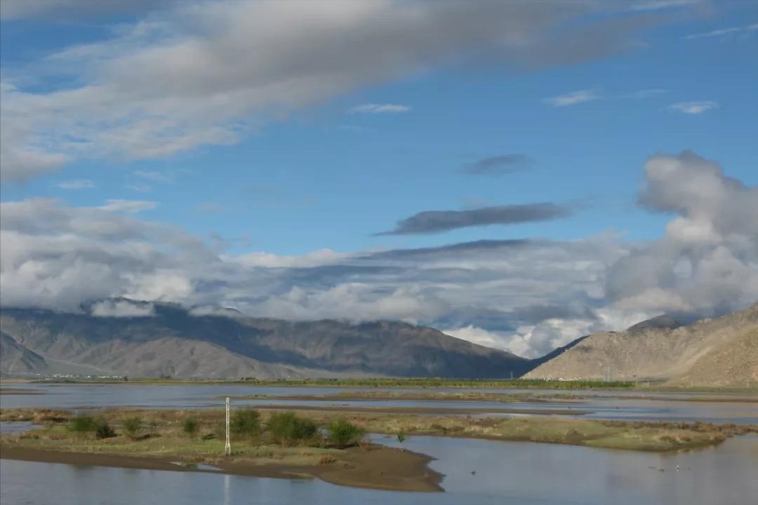 皮肤科医生最喜欢的痘痘