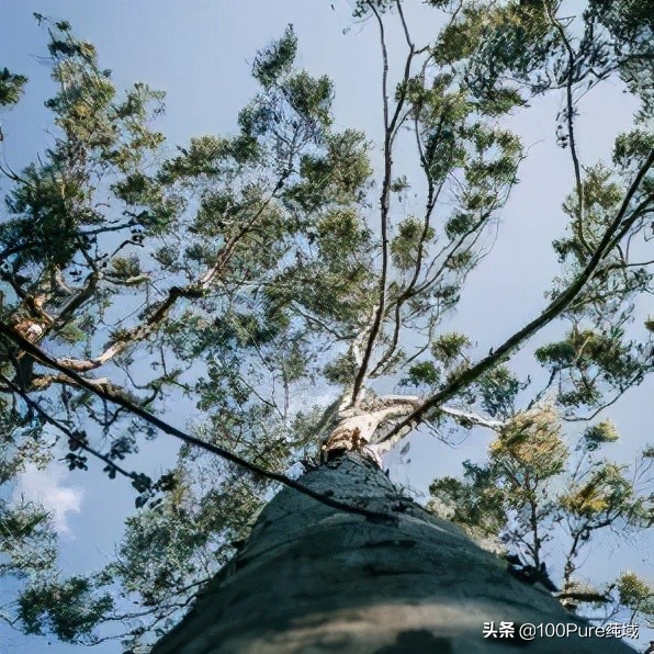 适合白天用的护肤成分,成分党必备护肤成分清单请收下