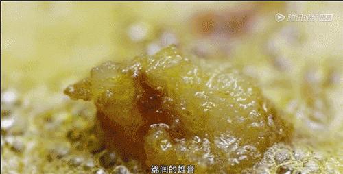 螃蟹到底有啥好吃的,螃蟹究竟有什么好吃的