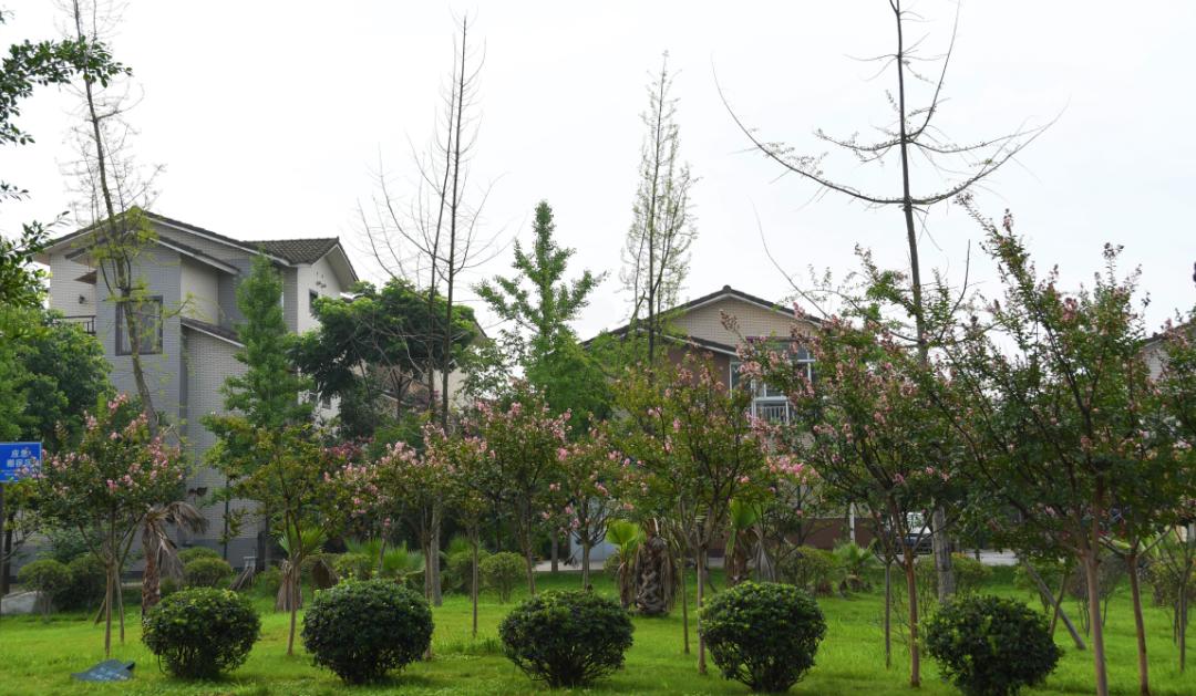 成都新都区军屯镇郭家村,成都新都军屯郭家村