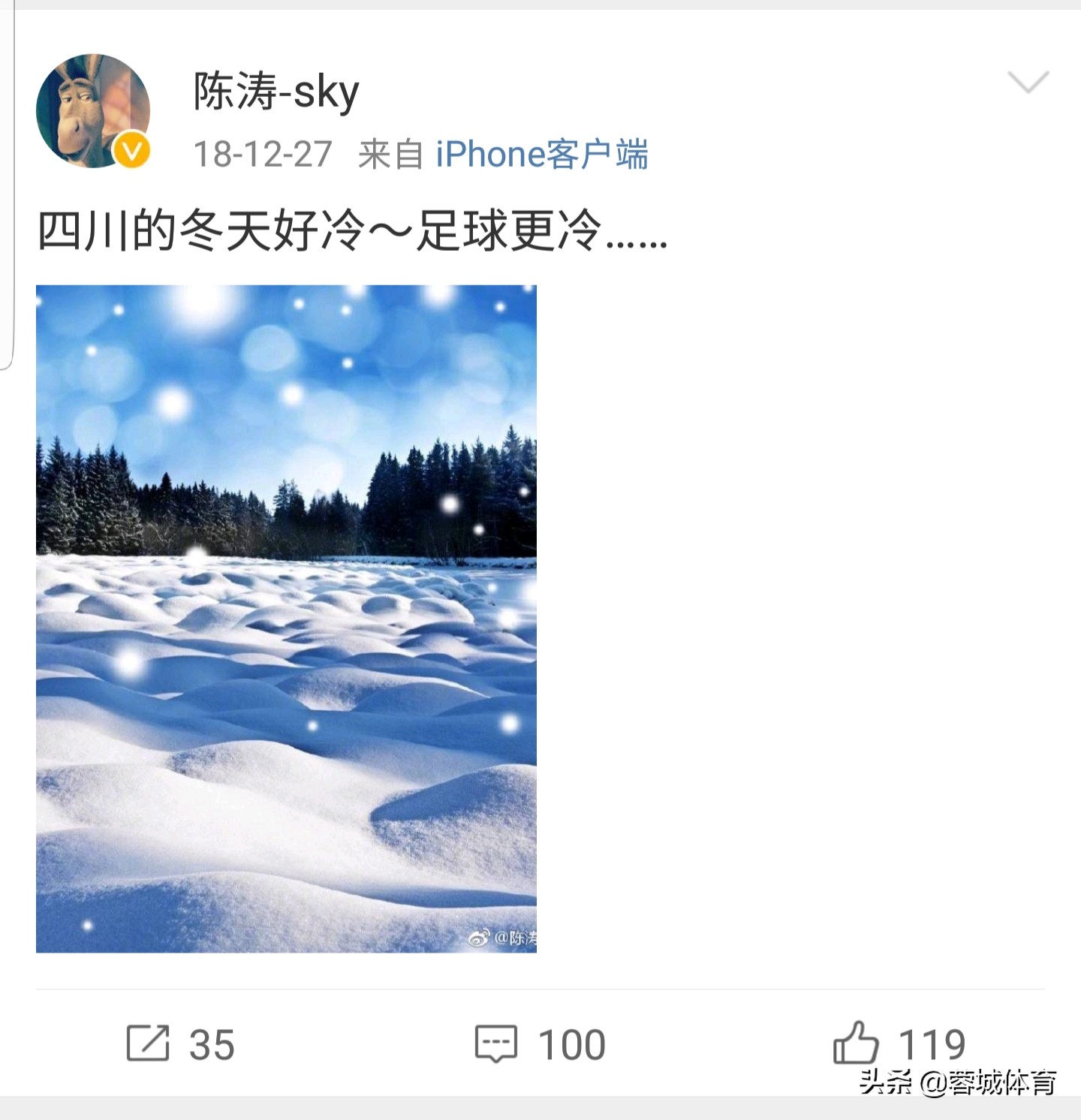 四川足球未来可期,四川足球今日最新消息