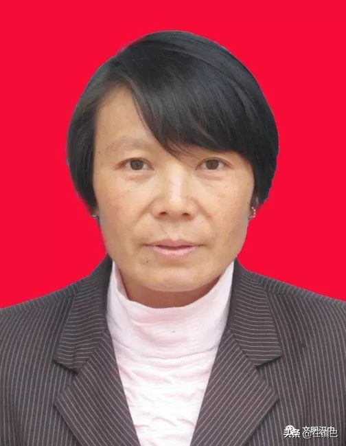 全国脱贫攻坚先进个人镇巴县,村级最美人物主要事迹