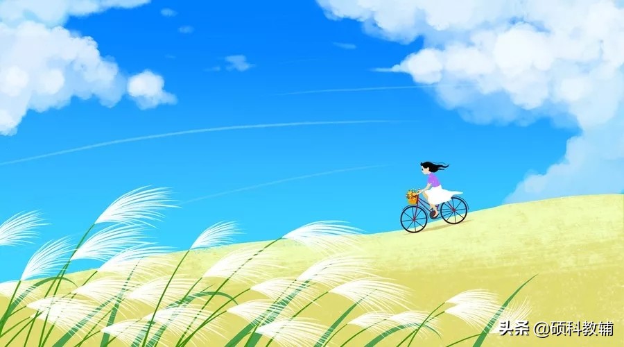 描写夏天的好词好段好句,小学生炎热的夏天作文400字5篇