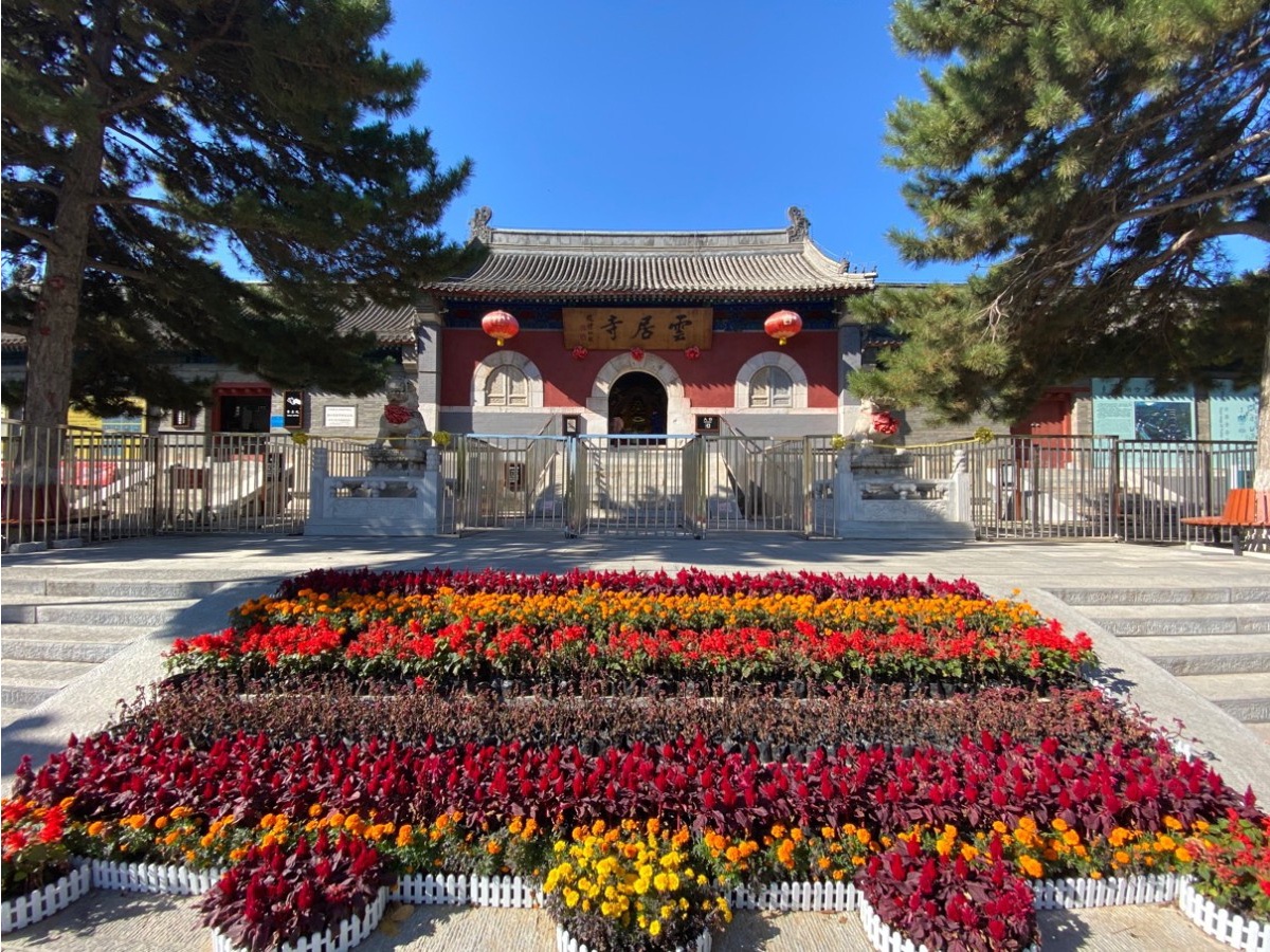 北京磨盘柿子采摘季节,磨盘柿子最佳采摘期