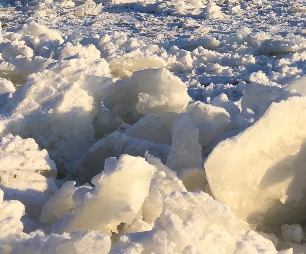 清沟捕鱼,青沟水库捕鱼视频