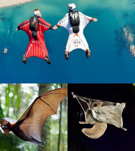 世界上最危险运动极限挑战,10大最危险的极限运动