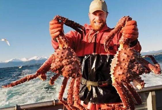 在多伦多吃喝玩乐,加拿大多伦多鱼乐轩大龙虾